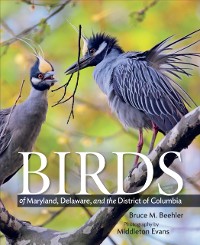 Cover Birds of Maryland, Delaware, and the District of Columbia