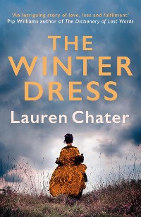 Cover The Winter Dress