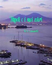 Cover Napoli e i suoi colori 