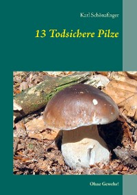 Cover 13 Todsichere Pilze