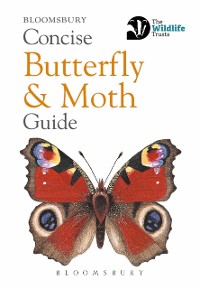 Cover Concise Butterfly and Moth Guide