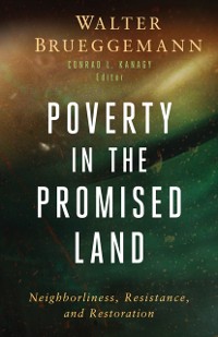 Cover Poverty in the Promised Land