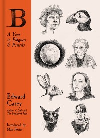 Cover B: A Year in Plagues and Pencils