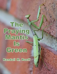 Cover Praying Mantis Is Green