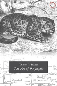 Cover Fire of the Jaguar