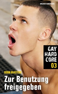 Cover Gay Hardcore 03: Zur Benutzung freigegeben