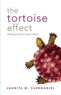 Cover The Tortoise Effect