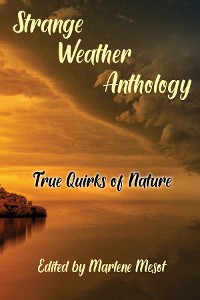 Cover Strange Weather Anthology