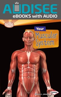 Cover Your Muscular System
