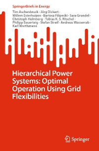Cover Hierarchical Power Systems: Optimal Operation Using Grid Flexibilities