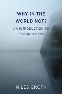 Cover Why in the World Not? An Introduction to Daseinanalysis