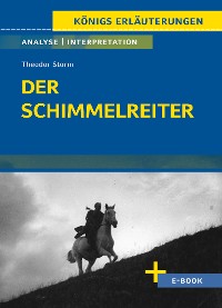 Cover Der Schimmelreiter von Theodor Storm - Textanalyse und Interpretation