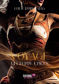 Cover Voyage en terre épicée