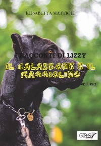 Cover Il calabrone e il Maggiolino