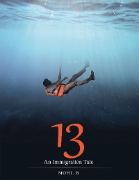 Cover 13
