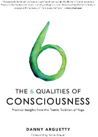Cover The 6 Qualities of Consciousness