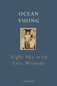 Cover Night Sky with Exit Wounds