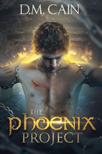 Cover The Phoenix Project