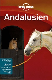 Cover Lonely Planet Reiseführer Andalusien