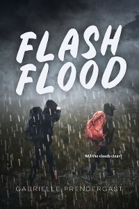 Cover Flash Flood