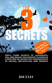 Cover The 3 Secrets
