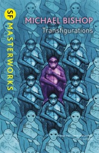 Cover Transfigurations