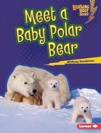 Cover Meet a Baby Polar Bear