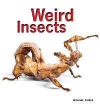 Cover Weird Insects