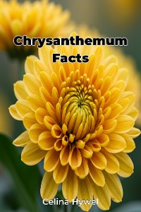 Cover Chrysanthemum Facts