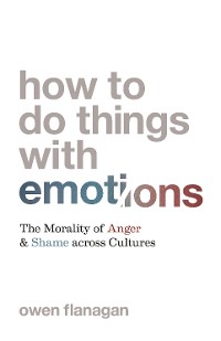 Cover How to Do Things with Emotions