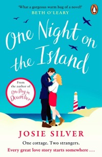 Cover One Night on the Island