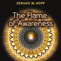 Cover The Flame of Awareness