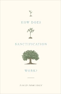 Cover How Does Sanctification Work?