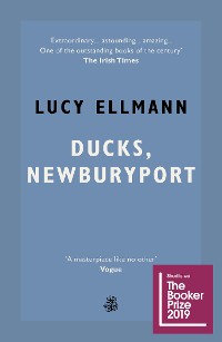 Cover Ducks, Newburyport