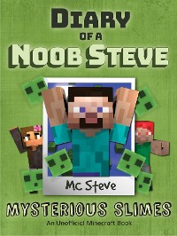 Cover Diary of a Minecraft Noob Steve Book 2
