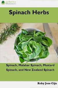 Cover Spinach Herbs