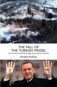Cover The Fall of the Turkish Model