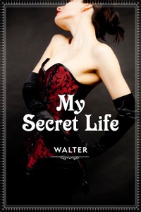 Cover My Secret Life Vol. 1-3