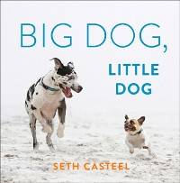 Cover Big Dog, Little Dog