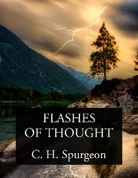 Cover Flashes of Thought
