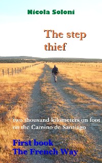 Cover The step thief. First book - The French Way