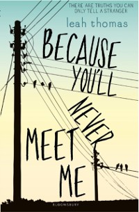 Cover Because You'll Never Meet Me