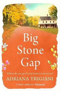 Cover Big Stone Gap