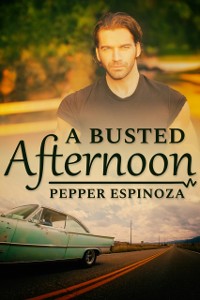 Cover Busted Afternoon