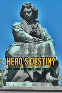 Cover Hero's Destiny