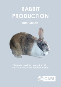 Cover Rabbit Production