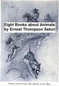 Cover Eight Books About Animals