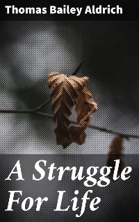 Cover A Struggle For Life