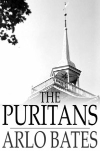 Cover Puritans