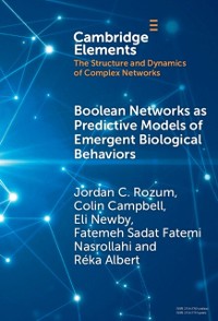 Cover Boolean Networks as Predictive Models of Emergent Biological Behaviors